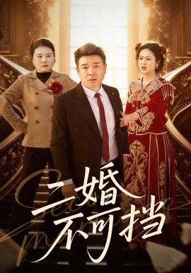 二婚不可挡