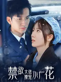 禁欲大佬撩宠小厂花